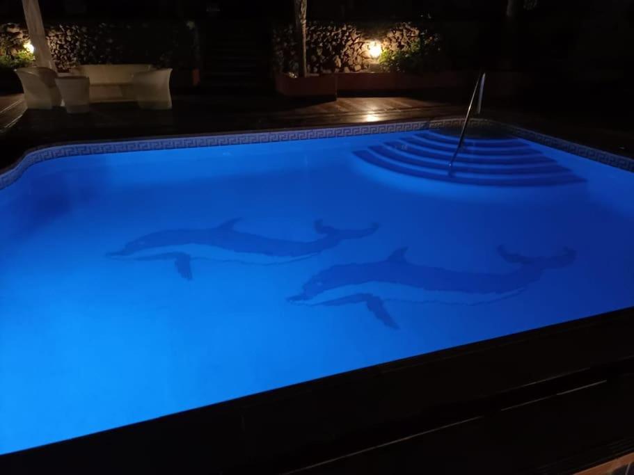 Apartamento Con Piscina Las Palmas de Gran Canaria