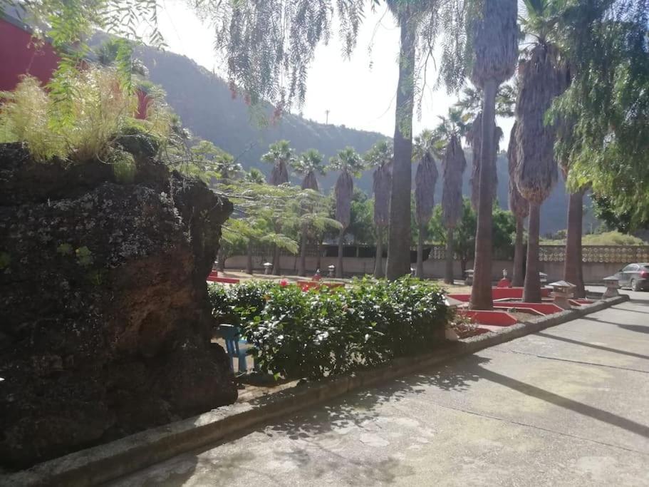 Con Piscina Apartamento